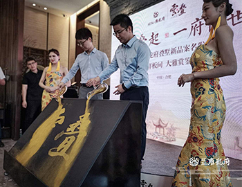 【凯时尊龙人生就是博·雍龙府】万象城旁，6米层高叠墅验资首日人气完爆世界杯开幕式。。 